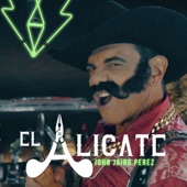 El Alicate artwork