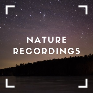 Shadows of Crickets To Relax To - EP