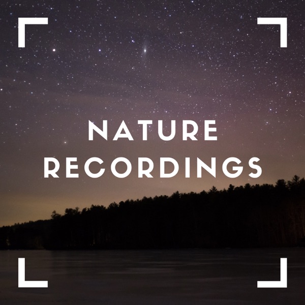 Shadows of Crickets To Relax To - EP