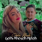 Galbi Khasah Molah artwork