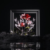 Love No More - Single - Jaeger