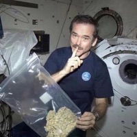 Freestyle 1 & 2*+ - Single - Tank 305