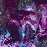 Ta da (Sped up) (feat. Calii Breezze) - Single - BoofPaxkMooky & Yung Brando