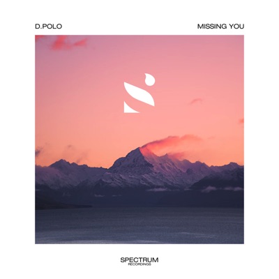 Missing You - Single