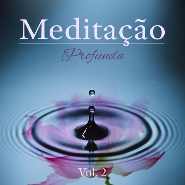 Meditação Profunda Vol. 2 - Música Zen Cura para Reiki, Atenção Plena e Treinamento da Mente, Mantra Ioga, Sons da Natureza