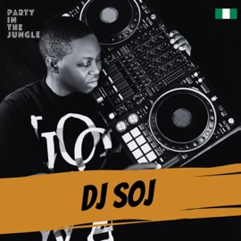 Club Controller (feat. TNS & Zanda Zakuza) [Mixed] Prince Kaybee & LaSoulMates