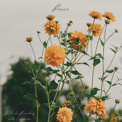 Peace - Single