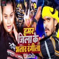 Hamar Jila Ke Bhatar Rangeela - Single - Ashish Yadav & Shweta Sargam