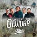 No Te Puedo Olvidar