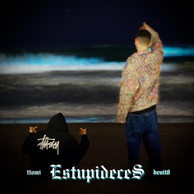 Estupideces (feat. benit0) - Single