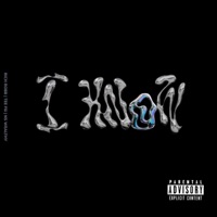 I Know (feat. Ns Wealthy & TeeFLii) - Single - Richrobb