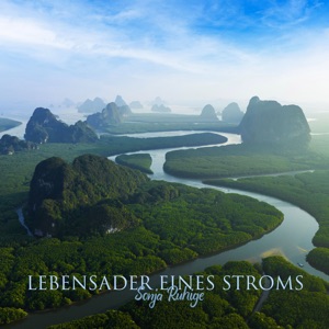 Lebensader eines Stroms