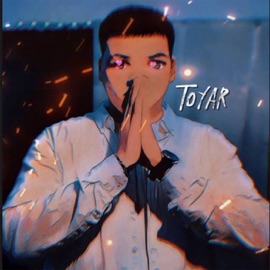 Звонки TOYAR