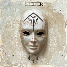 Shelter Equilibrium