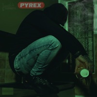 PYREX - Single - 24LL Tammy