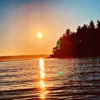 I'm from the sunshine - Single - TRIPPSMITH