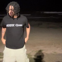 Schedule 2 - Single - $tarlight