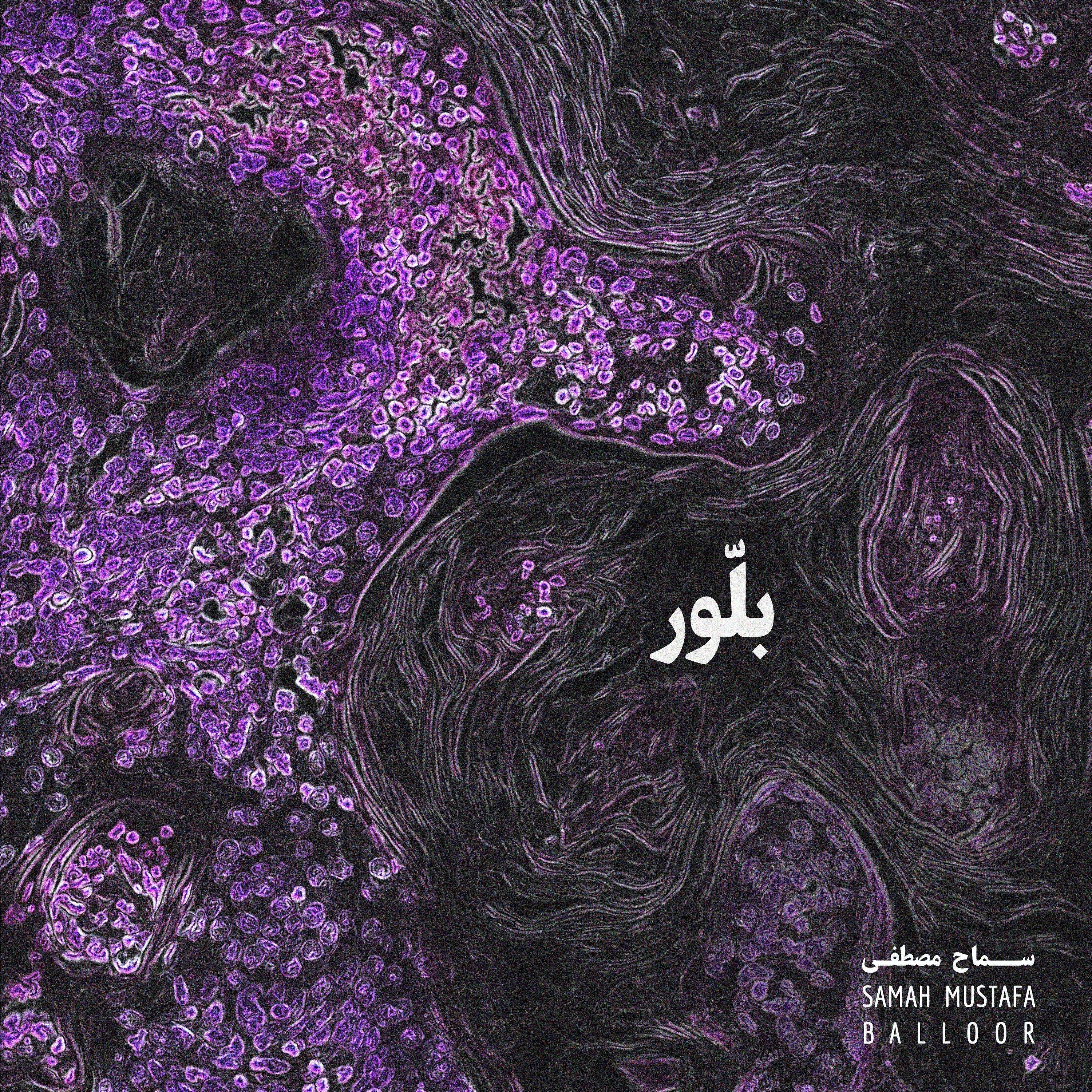 SAMAH MUSTAFA | Banat Al Arab