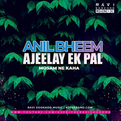 Ajeelay Ek Pal (feat. Anil Bheem) - Single