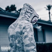 3L - Single - GGI Leek