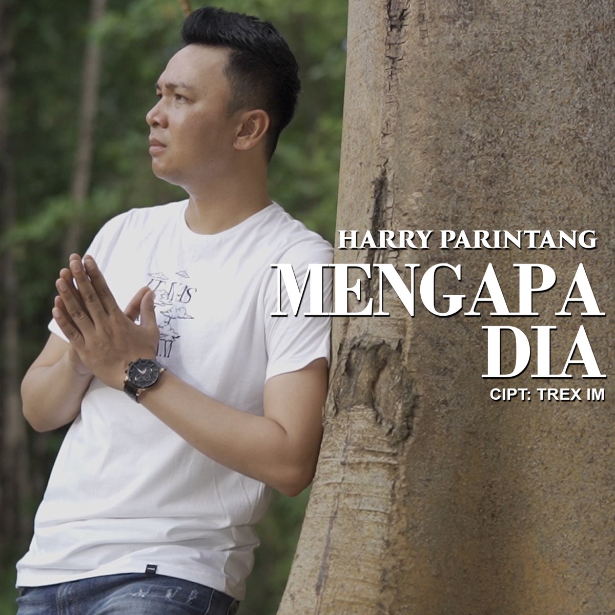 ‎Mengapa Dia - Single - Album By Harry Parintang - Apple Music