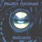 Steelrose (Talla 2XLC Remix) - Project Pitchfork lyrics