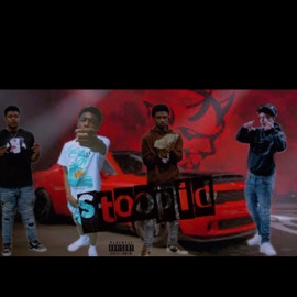 Stoopid Mbk5L