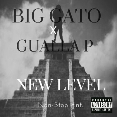 New Level - Single (feat. Gualla P) - Single