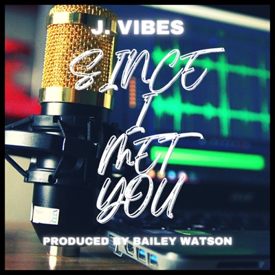 Since I met you (feat. Bailey Watson) - Single