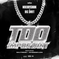 Too Important - Single - MixedByCrook & Big $wift