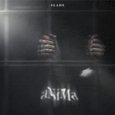 Anima - Single