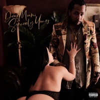 Dear Miami Sincerely Yours - Marcolen Hayes