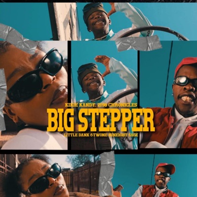 Big Stepper (feat. Little Dank & Twone Nineight SaGe) - Single