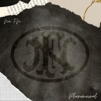 Nu FN - Single - Phenomeinal