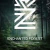 Enchanted Forest (Norrbotten Chamber Orchestra 30 Years)