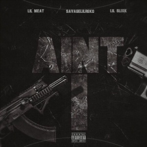 Aint I (feat. Lil Meat & Lil Slixk)