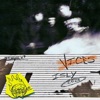 VICES