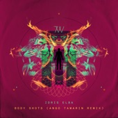 Body Shots (Ango Tamarin Remix) artwork