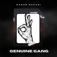 Genuine Gang - Single - Naqab Dhaari