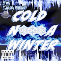 Cold N***a Winter (feat. Joel Sias & Pay Style) - Single - SLAPP PLANET