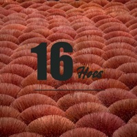 16Hoes (feat. Brown & Creed Bellemie) - Single - Légendary Crack