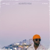 So Into You (feat. D-Nice) [Midnight Mix] artwork