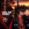 Fly Away (Druce Remix) [Mixed] - Skua & Cosmaks lyrics