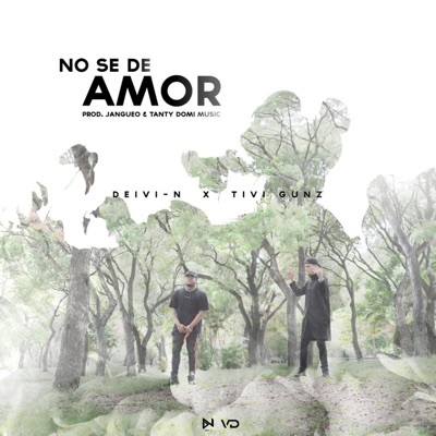 No se de amor (feat. tivi gunz) - Single