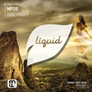Imaginary - Single