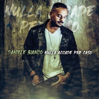Nulla accade per caso - Daniele Bianco