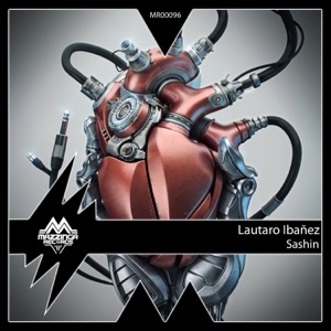 Sashin - Single