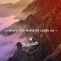 I Want the Wind to Carry Me (Delectatio Remix) - Single - Narrow Skies