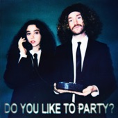 Do You Like To Party? artwork
