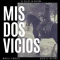 MIS DOS VICIOS